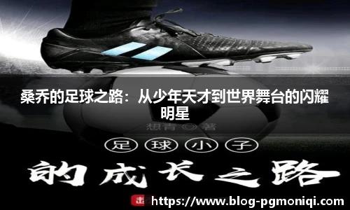 桑乔的足球之路：从少年天才到世界舞台的闪耀明星